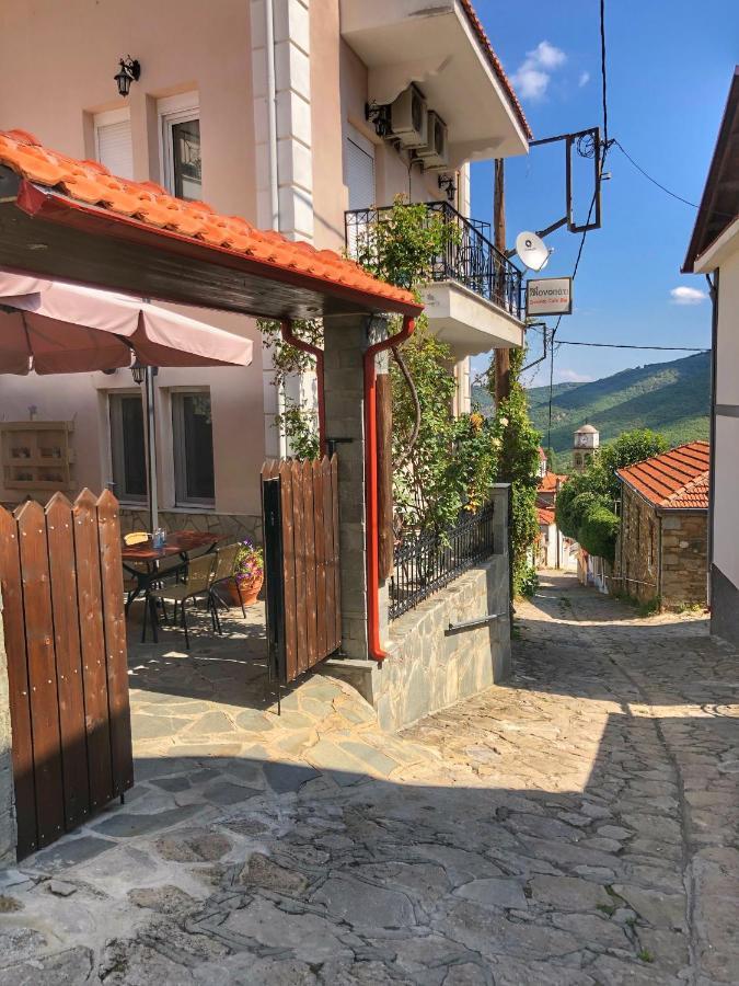 Guesthouse Monopati - Ξενώνας Μονοπάτι Lechovo エクステリア 写真
